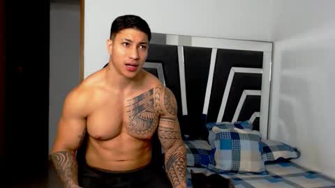 Noah Harris01 online show from February 11, 2026, 11:04 am