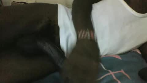 Snapshot of noella1234 chatting on March 29, 2026, 11:16 pm noella1234 online show from March 29, 2026, 11:16 pm