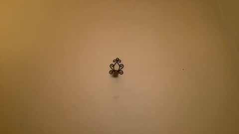 noscandal online show from February 21, 2025, 12:16 am