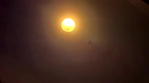 notEduxx online show from April 6, 2026, 7:42 am