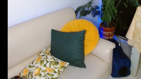 novaperotti online show from October 8, 2025, 11:35 pm