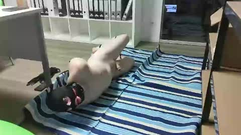 Slave for Mistress and Master online show from February 18, 2025, 11:33 am