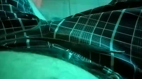 NuttyProfesir online show from April 4, 2026, 1:19 pm