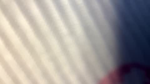 Nicol online show from September 25, 2025, 7:34 am