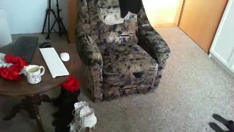 Strumpfhose online show from April 16, 2026, 7:31 am