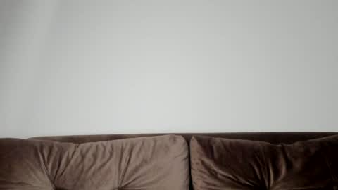 o_r_b_i_t online show from January 21, 2025, 2:15 pm