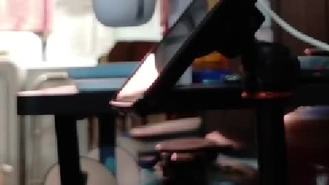 Snapshot of obsidian_stallion chatting on July 19, 2026, 10:35 pm Obsidian stallion online show from July 19, 2026, 10:35 pm