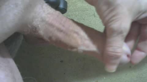 Snapshot of odentonman4fun chatting on June 20, 2026, 4:04 am odentonman4fun online show from June 20, 2026, 4:04 am