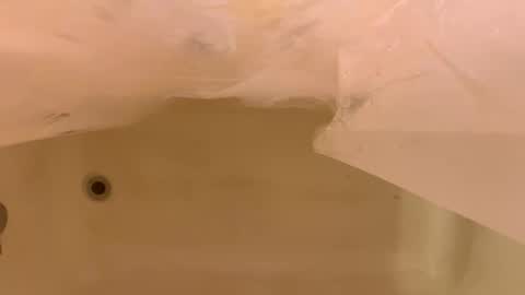 Odin Stone online show from January 6, 2026, 6:44 pm