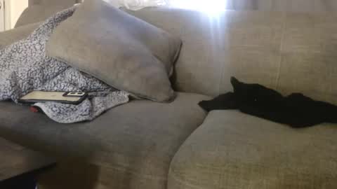 OGDigBick online show from November 4, 2025, 2:16 pm