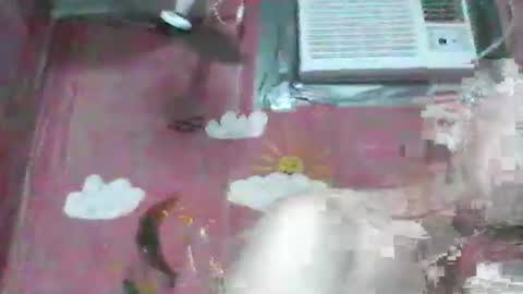 oldbuthorny62 online show from November 23, 2025, 6:57 am