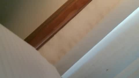 olddognewtrickss online show from September 11, 2025, 8:42 pm