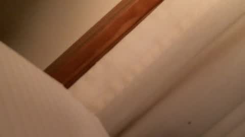 olddognewtrickss online show from September 12, 2025, 10:04 am