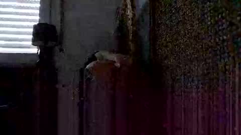 onlywholes online show from January 26, 2025, 9:08 am