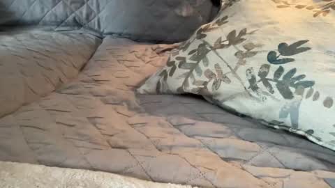 Snapshot of onthedlhere chatting on January 9, 2025, 7:18 pm onthedlhere online show from January 9, 2025, 7:18 pm