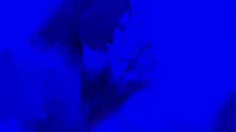 onurkneespls online show from September 28, 2025, 12:05 am