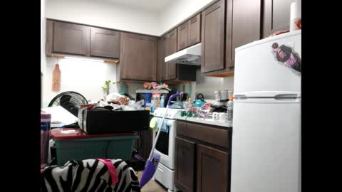 TsJojo online show from February 3, 2025, 4:41 pm