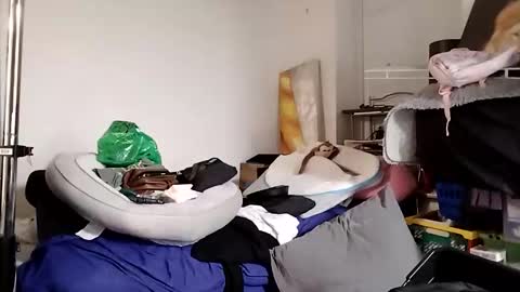 TsJojo online show from December 1, 2025, 9:36 am