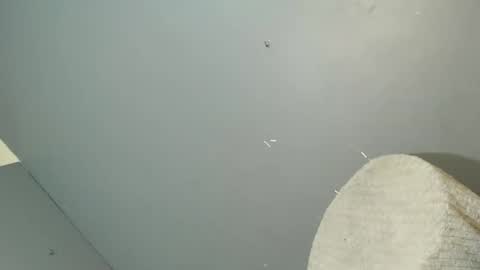 ARA online show from October 26, 2025, 1:50 pm