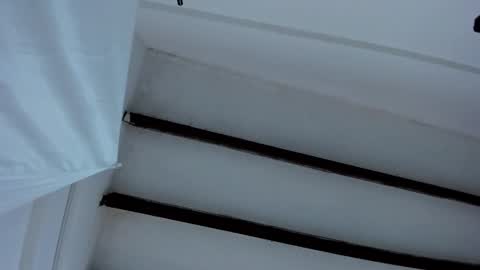 Miss Guzman  online show from January 27, 2025, 12:48 pm