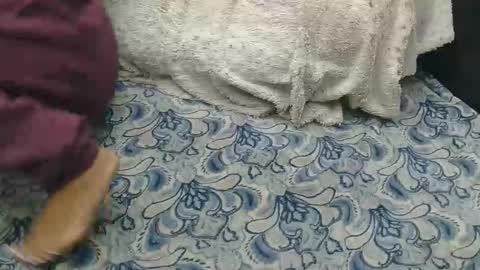 originalcali95 online show from February 14, 2026, 8:27 pm