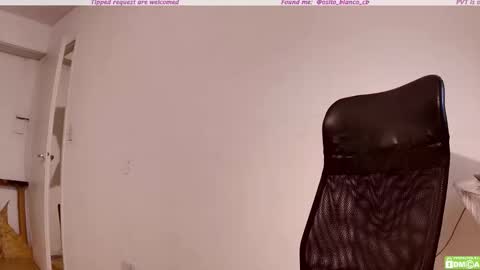 Osito Blanco online show from October 3, 2025, 1:46 am