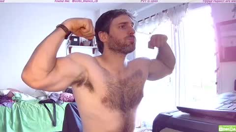 Osito Blanco online show from November 13, 2025, 8:19 pm