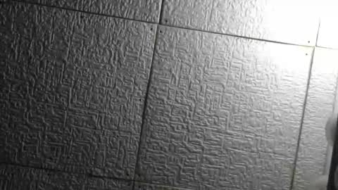 Superfeno online show from April 22, 2026, 5:10 am