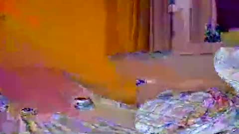 Pachoxx9 online show from February 1, 2025, 10:44 pm