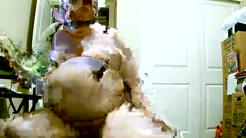 Bill online show from December 8, 2024, 1:14 pm