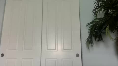 palmflacco online show from October 11, 2025, 5:44 pm