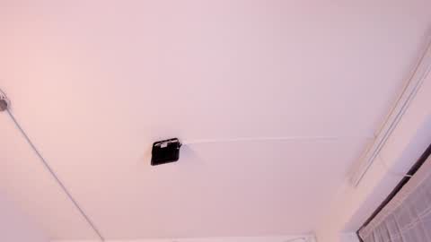 Paloma  online show from February 3, 2025, 11:36 pm