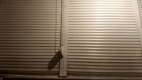 angel hris online show from March 5, 2026, 7:10 pm