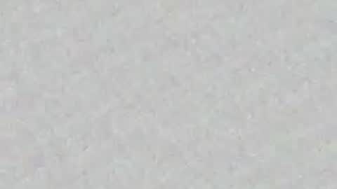 Snapshot of panther_cap chatting on June 8, 2026, 9:37 pm In bio online show from June 8, 2026, 9:37 pm