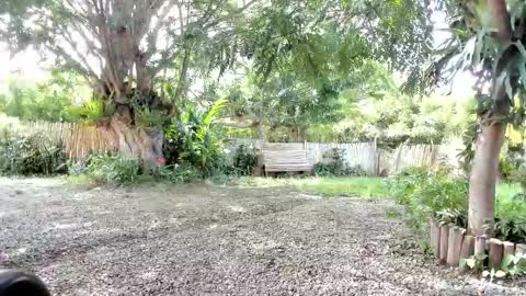 paoguerrax354 online show from October 19, 2025, 6:41 pm