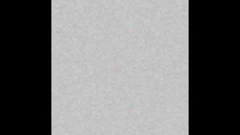 Paola Williams online show from November 13, 2025, 8:41 pm