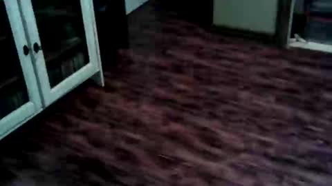 Ricky online show from May 25, 2026, 3:51 pm