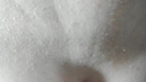 sara and andreu online show from December 7, 2024, 6:04 pm