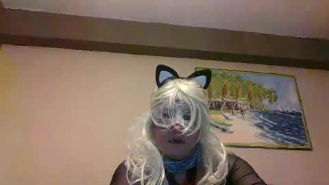 aventuras en pelotas online show from March 12, 2025, 7:17 pm