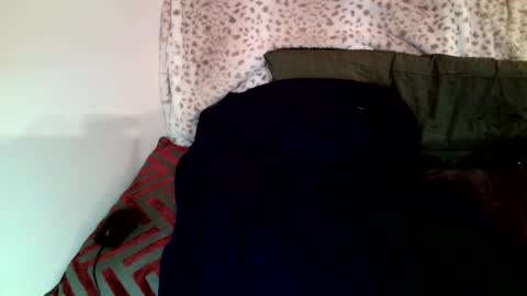 Snapshot of parlay0028 chatting on January 29, 2025, 8:25 pm Parlay tellio online show from January 29, 2025, 8:25 pm