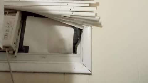 JD online show from December 17, 2024, 11:27 pm