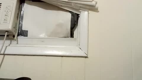 JD online show from December 18, 2024, 2:32 am