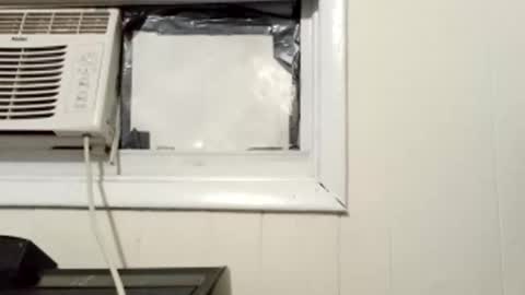 JD online show from March 1, 2025, 10:13 am