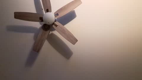 patrick247288 online show from September 9, 2025, 4:34 am