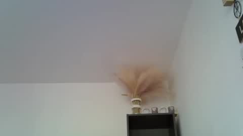 patrick5275 online show from December 16, 2024, 11:44 am