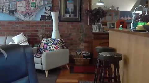 patvac online show from November 8, 2025, 1:50 am