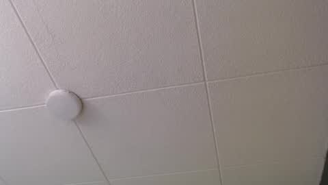 Paul online show from October 20, 2025, 1:00 pm