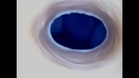 Paula 18 Aninhos online show from January 30, 2025, 10:08 am