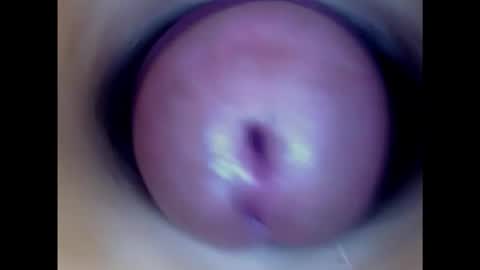 Paula 18 Aninhos online show from February 11, 2025, 11:01 pm