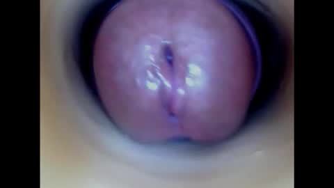 Paula 18 Aninhos online show from October 21, 2025, 11:38 pm